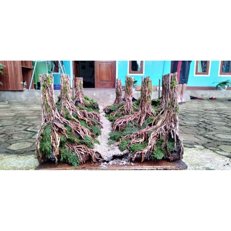 hardscape 50x30x30cm aquascape jungle