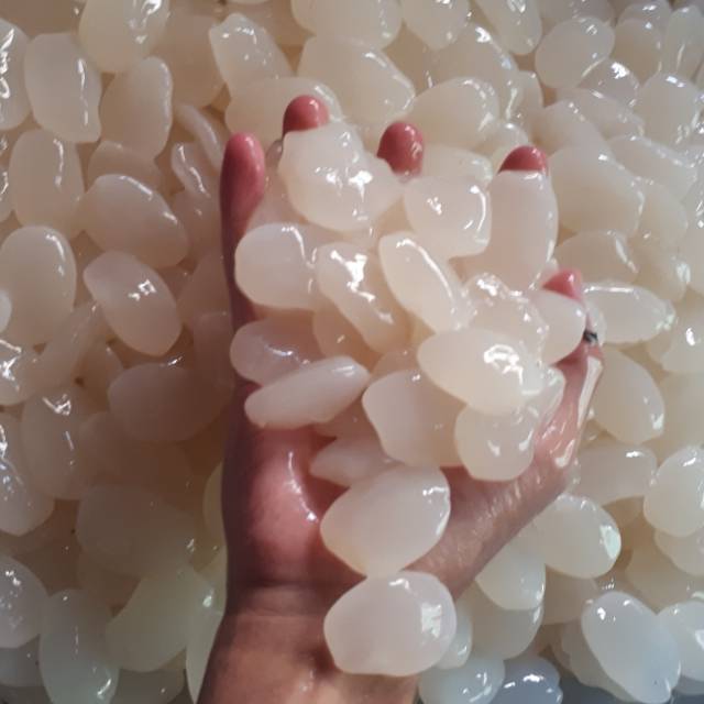 

Kolang kaling kolang kaling