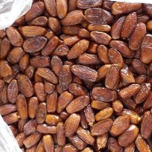 

Kurma Terbaru - Kurma Madu Tunisia Asli Kualitas Premium Isi 5 Kg