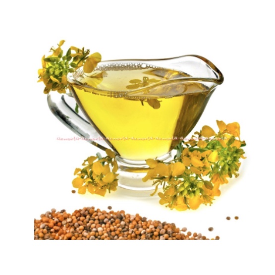 Mazola Canola Oil Minyak Kanola Kanol 900ml Minyak Goreng Rendah Lemak Jenuh Mazolla Canola Oils Canolas Oil