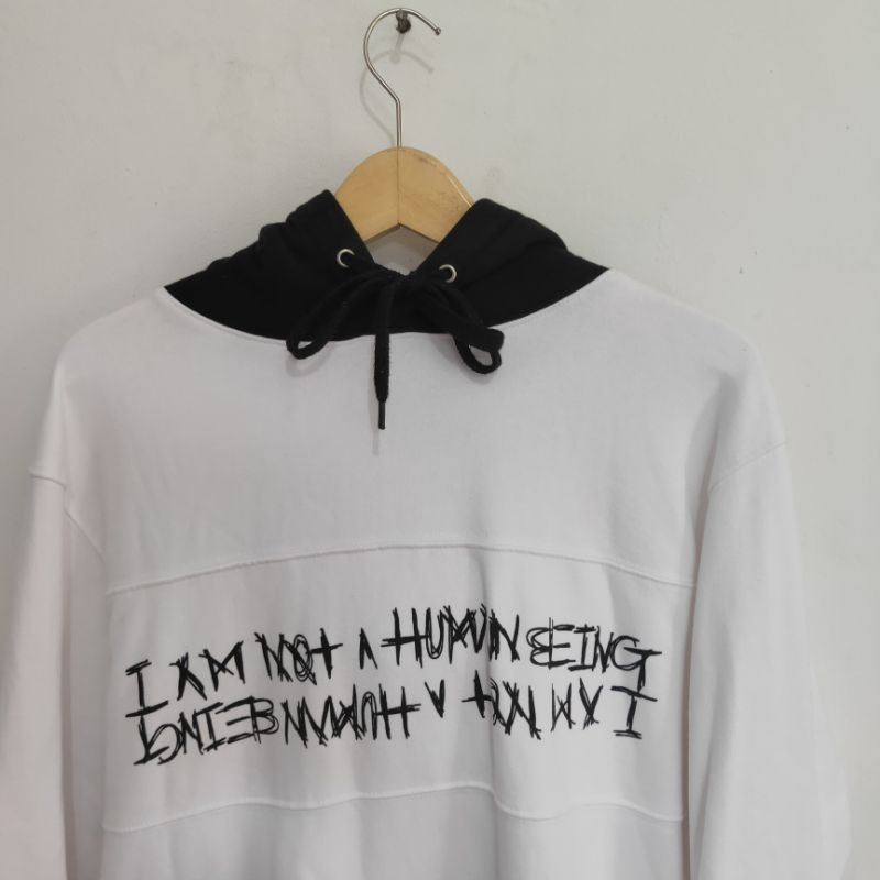 Hoodie Im not human being