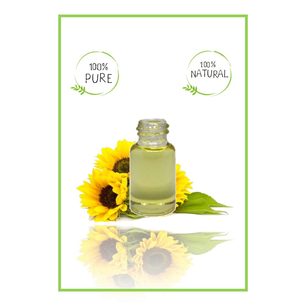 Pure Sunflower Sun Flower Seed Oil Minyak Biji Bunga Matahari 30ml Carrier Oil Shopee Indonesia