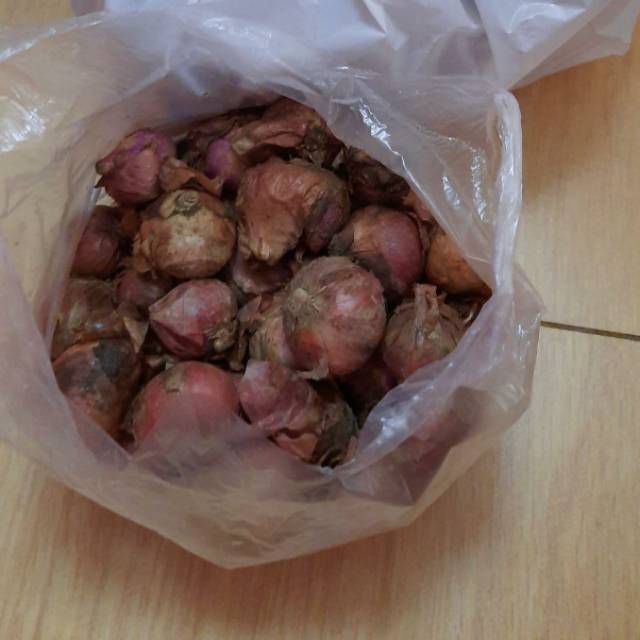 

Bawang merah