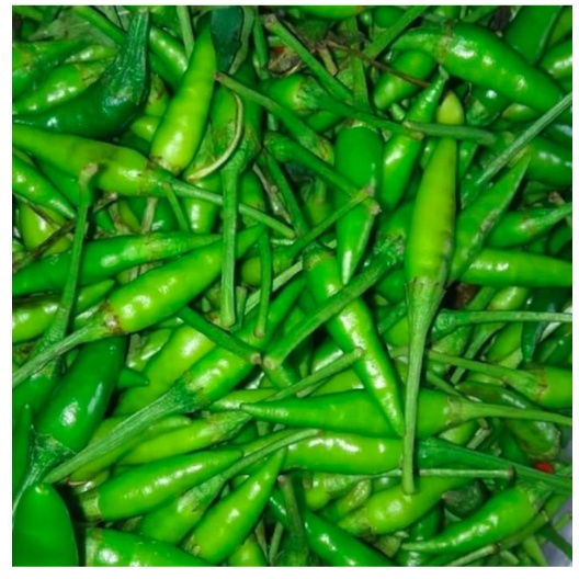 

CABE RAWIT HIJAU FRESH