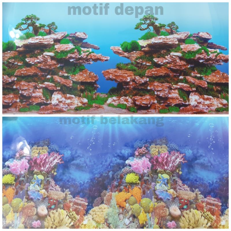 BACKGROUND TINGGI 50 CM GAMBAR TERUMBU KARANG AQUARIUM PANJANG PER METER