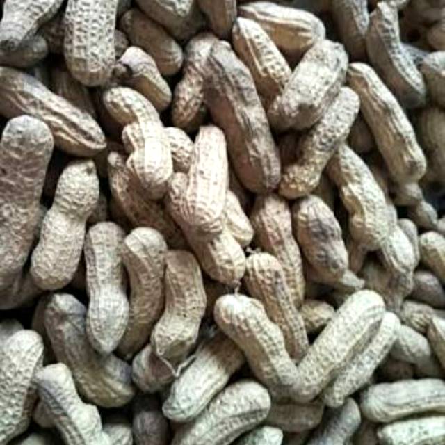 

Kacang kulit sangrai 1 kg.Kacang tanah kulit sangrai super