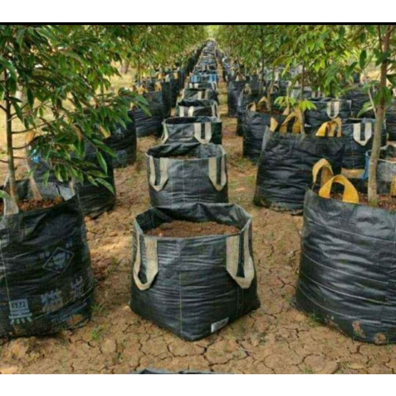 PLANTER BAG 300Liter 75x75 Pot Terpal Polybag Tabulampot Buah Sayur  Pot Tanaman