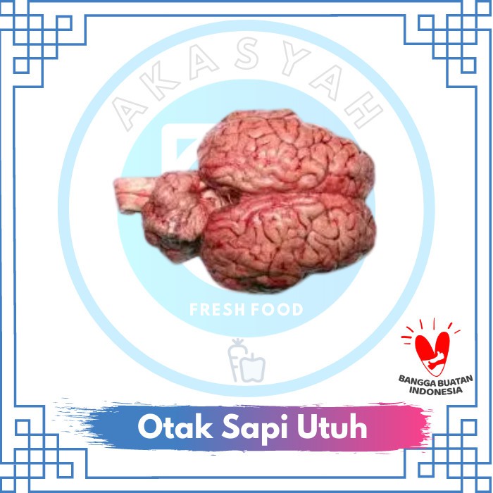 

Otak Sapi Segar Berkualitas - 1 Pcs JABODETABEK