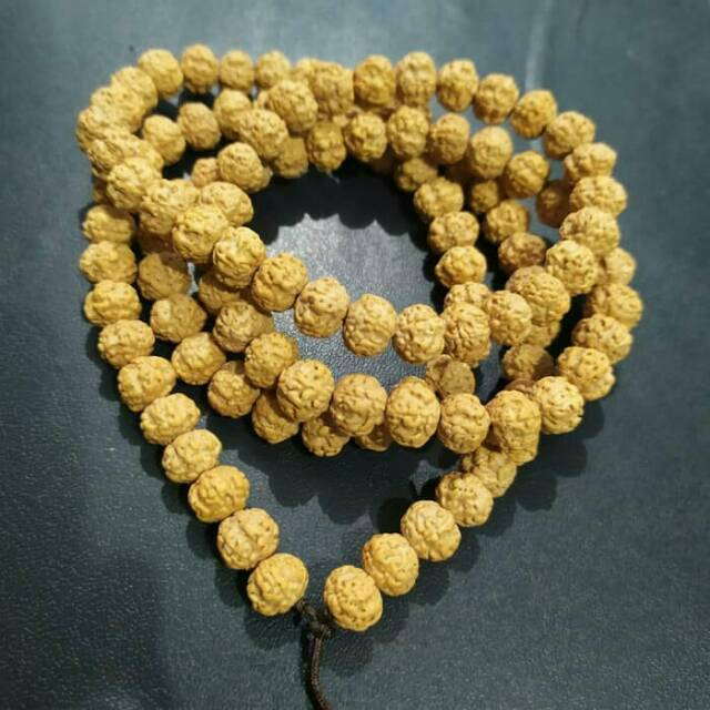 KALUNG JENITRI RUDHAKSA / KALUNG BIJI JENITRI RUDHAKSA ASLI