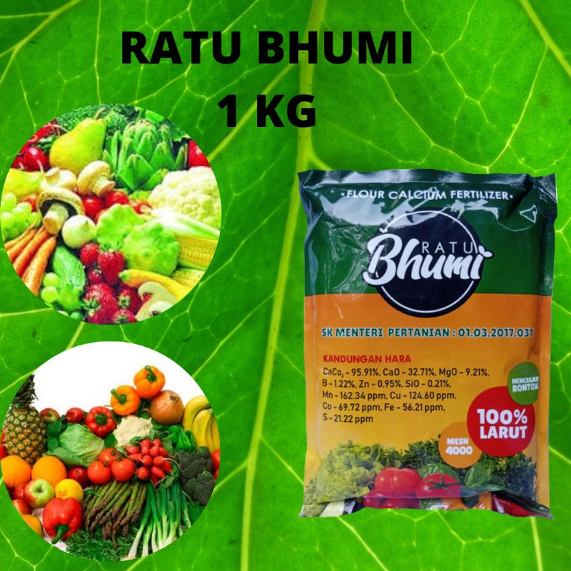 Pupuk Kalsium Ratu Bhumi 1000gr,Aman dan mudah dalam aplikasi,Pupuk Kalsium Tanaman