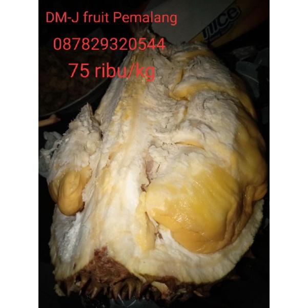 

Durian bawor