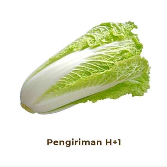 Sawi Putih Segar