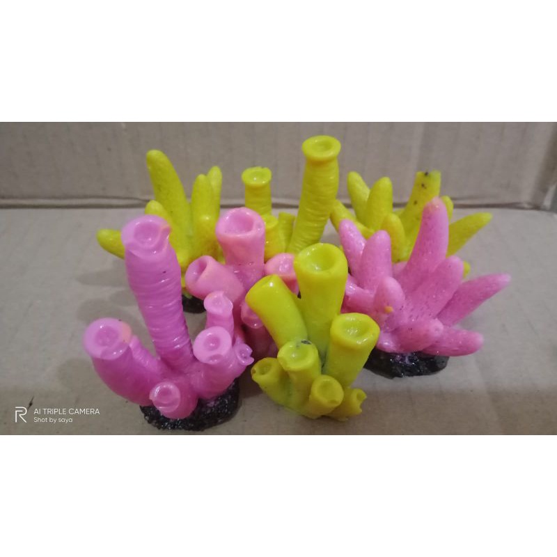 anemon laut hiasan aquarium .