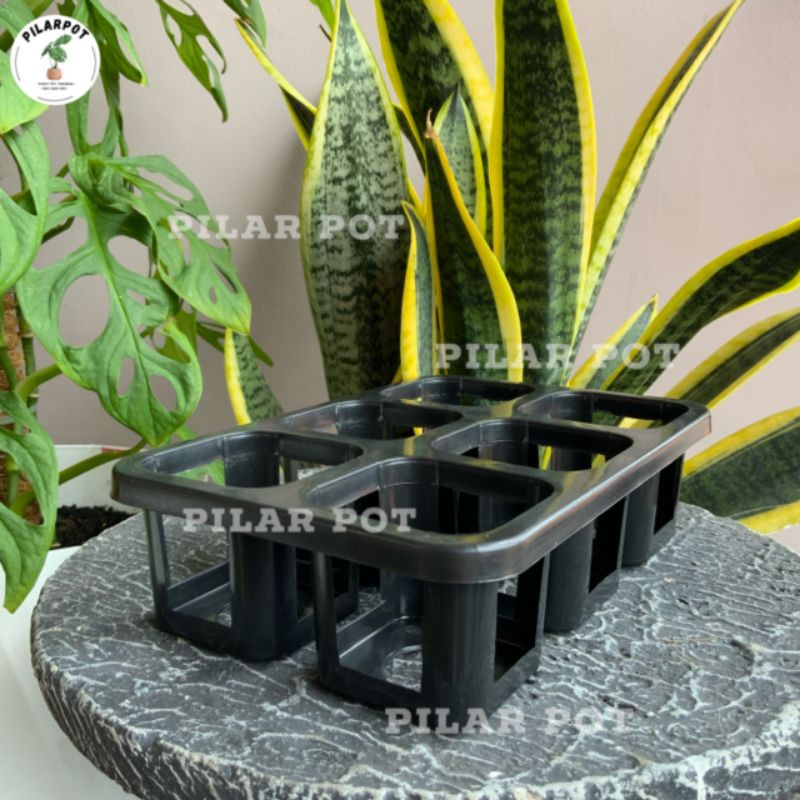 Tray pot nkt kotak 7CM (tanpa pot) | nkt kotak 7CM | tray semai bibit