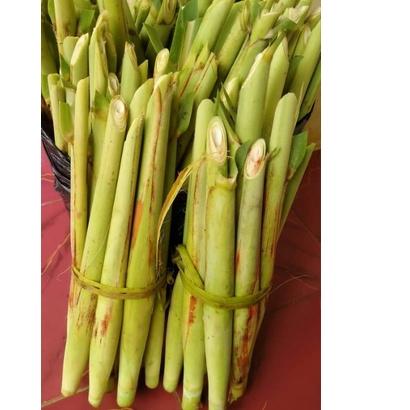 

⚡Flash Sale Terubuk / Tebu telur Murah Berat1Kg