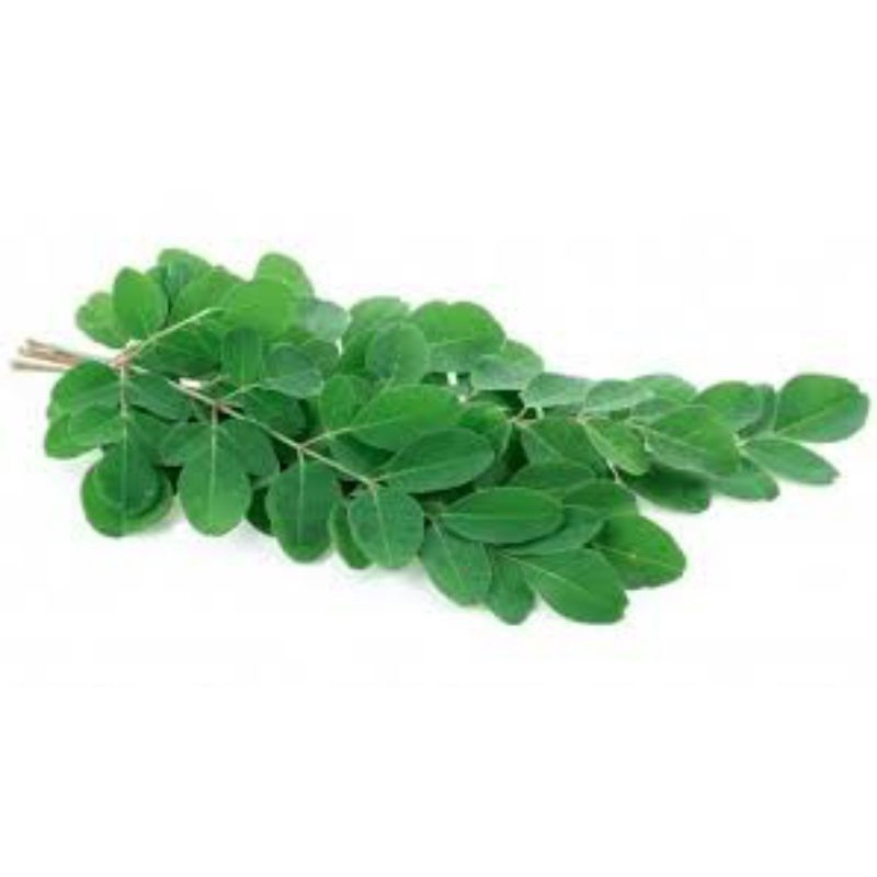 

Daun kelor segar 100g
