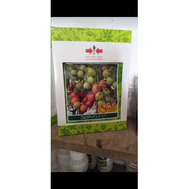 Benih Tomat Servo F1