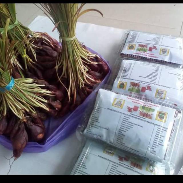 Jual Bawang Dayak Asli Kalimantan Shopee Indonesia 6552