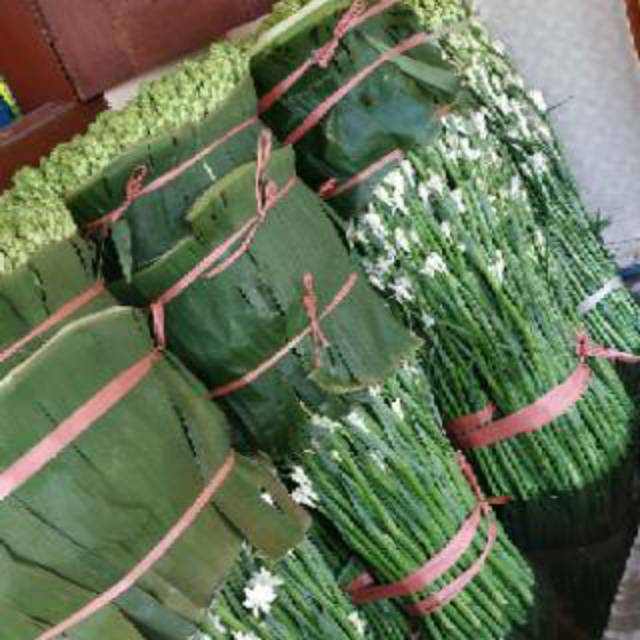 30 kilo umbi/bibit bunga sedap malam PAKET CARGO