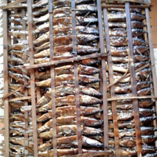 

Ikan roa