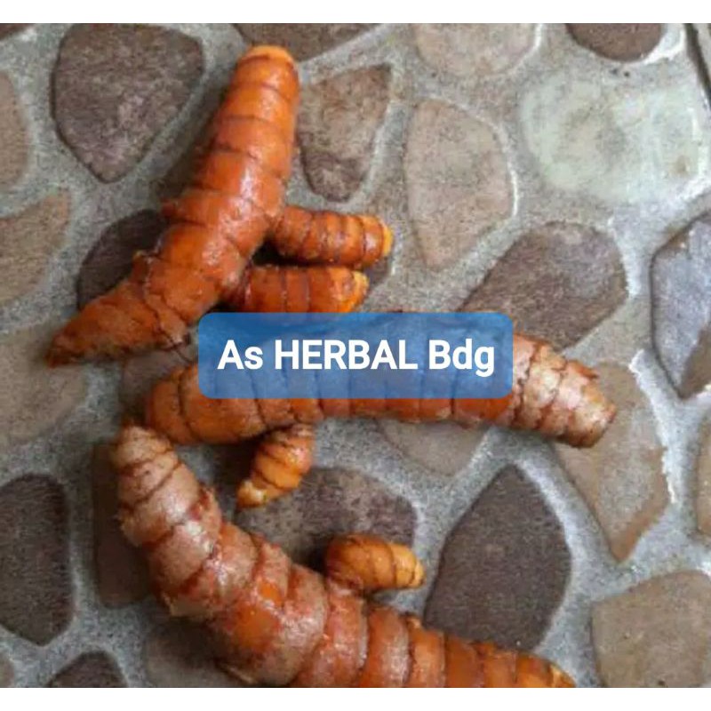 

Jual kunyit bumbu kunir segar per 2 kg-az