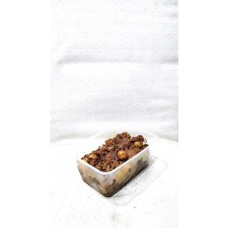 

Rendang Mamasi Daging Sapi 250gr