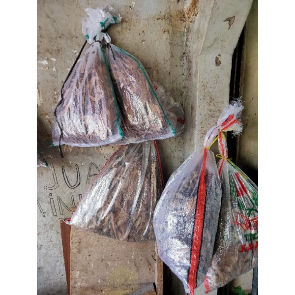 Jangkrik Alam Hidup 1 kg Sriling Super Karungan Karung