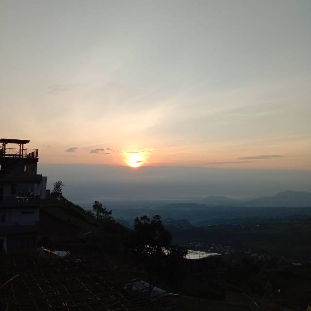 ririnwanti