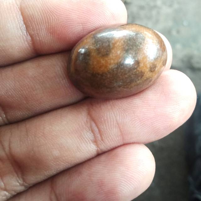 Batu akik Naga riau / batu akik langka / batu akik asli indonesia