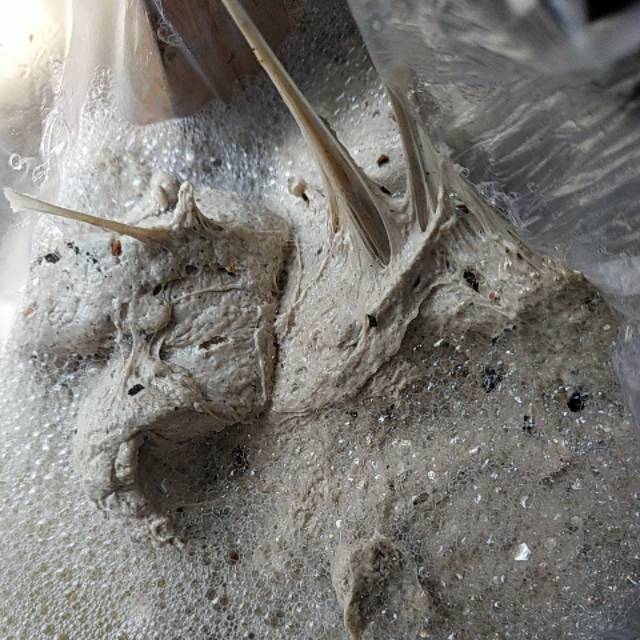 PULUT PIKAT SUPER getah bendo super /asli 1kg dijamin lengkettt
