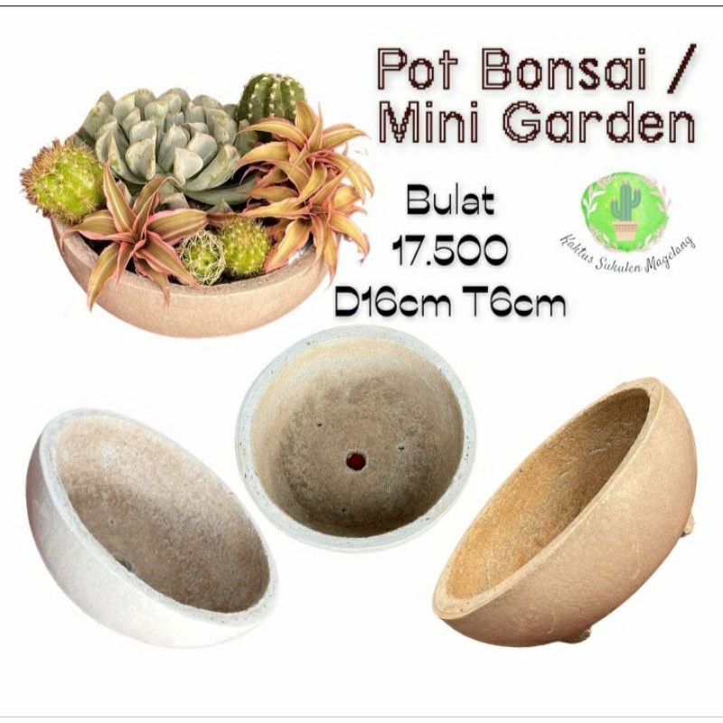 Pot Bonsai Mini Garden Bulat