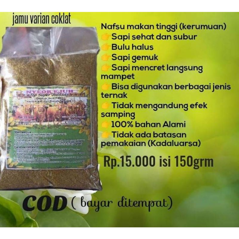 

jamu herbal sapi kambing