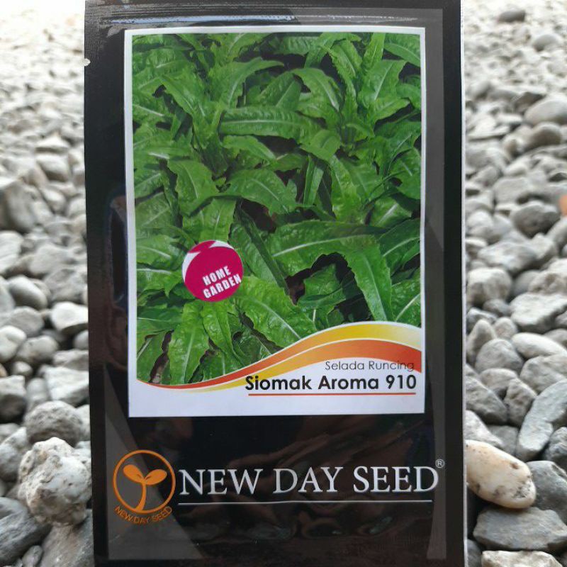 SELADA SIOMAK-Benih Bibit Biji Selada Runcing SIOMAK AROMA (2gr)
