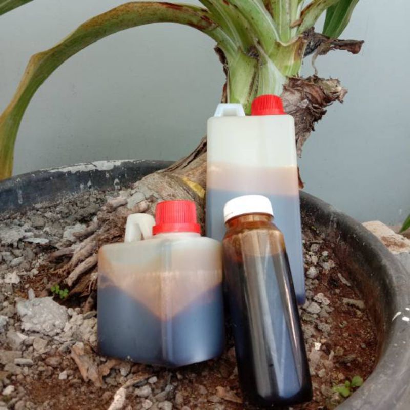 

Madu Hitam Pahit Mk 500 gram