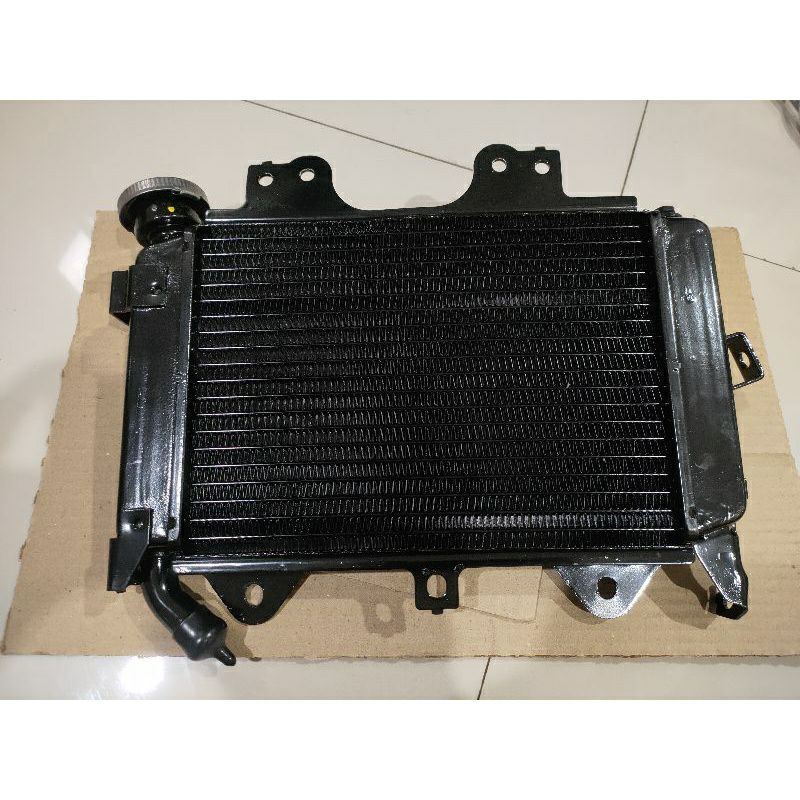 Radiator Kawasaki Bajaj Pulsar 200NS NS200 BR200A Copotan Original