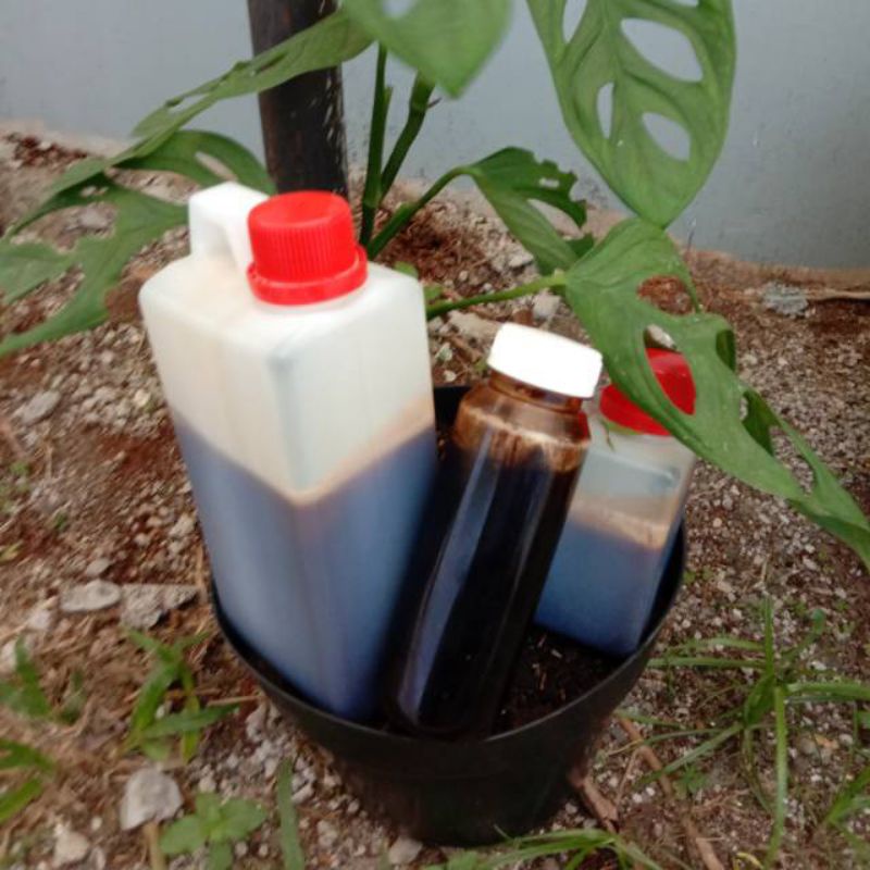 

Madu Hitam Pahit Mk 1 kg