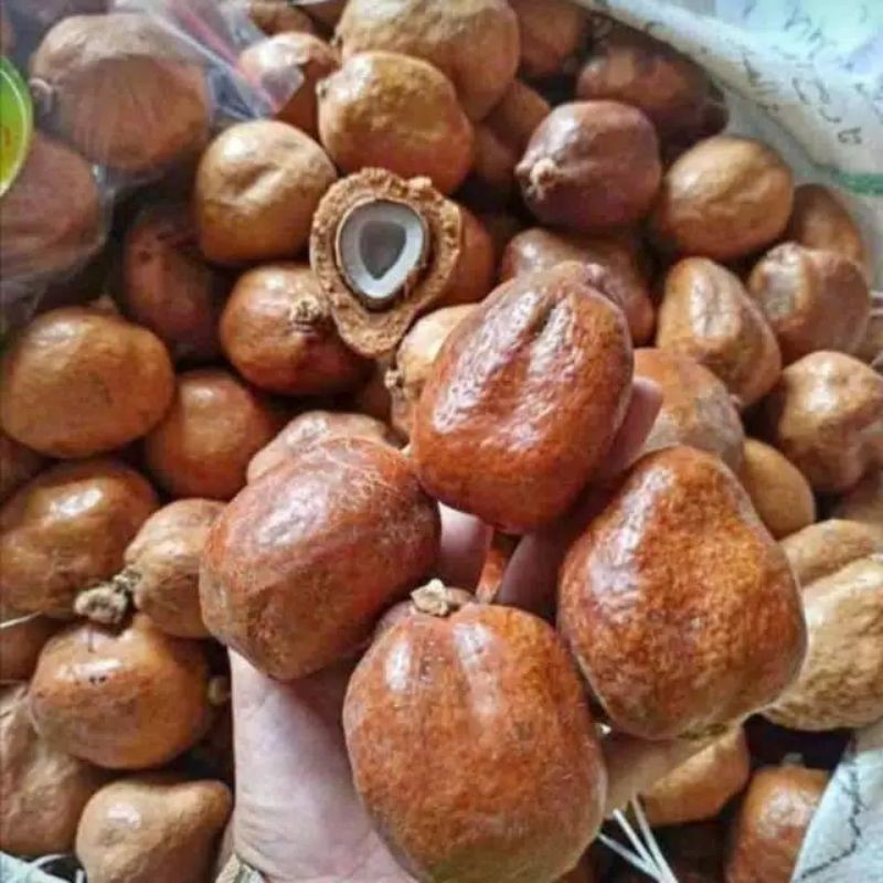 

1kg Buah Zuriat Asli Mesir