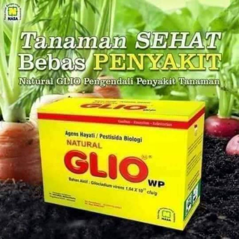 

GlioNasa