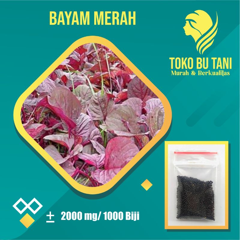 Benih Bayam Merah Red Bintang Asia Bibit Sayuran Repack Berkualitas