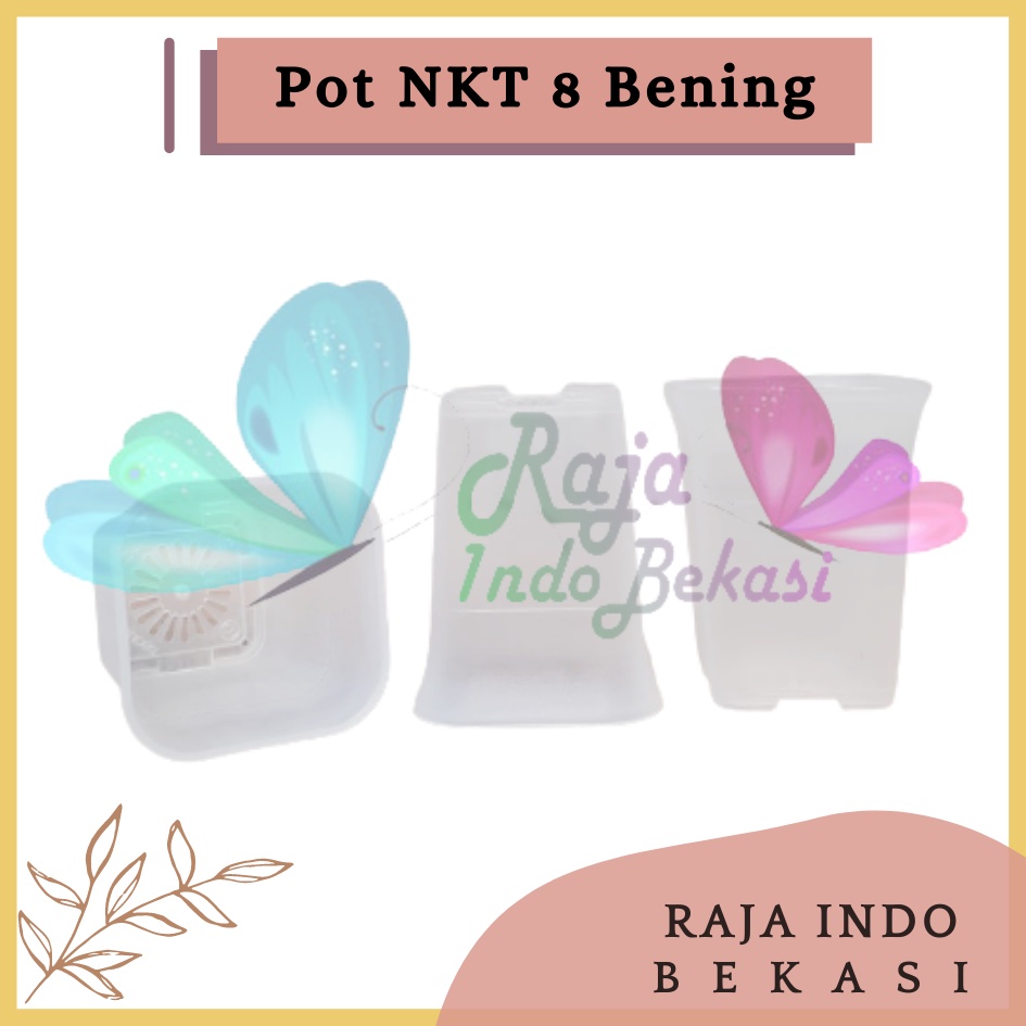 Pot Nkt Kotak 8 Bening