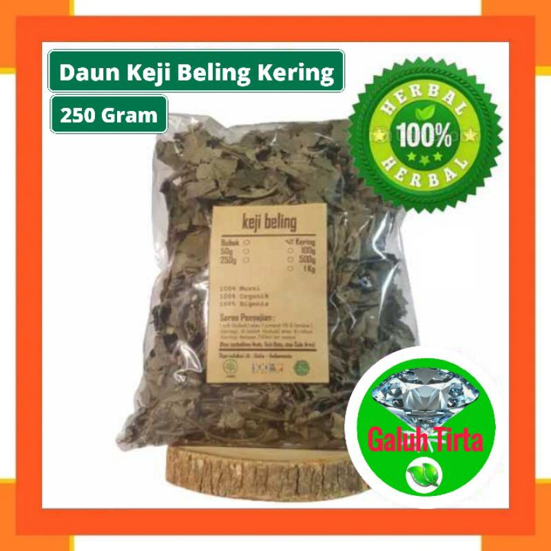 

250 Gram Keji beling Kejibeling kering murni asli original organik premium Strobilanthes Crispa