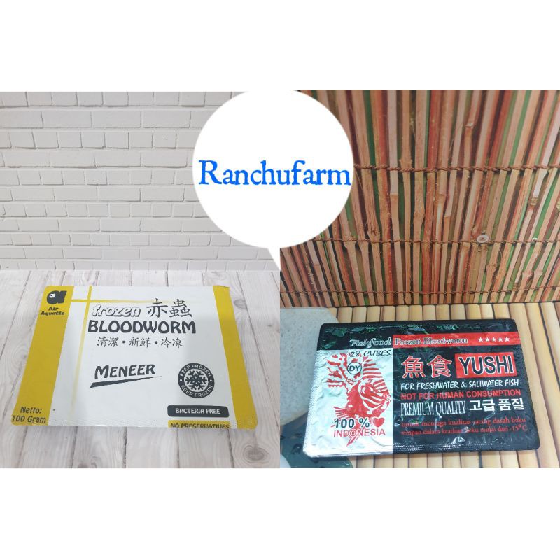 

CACING DARAH CACING BEKU pakan ikan koki paling bagus!