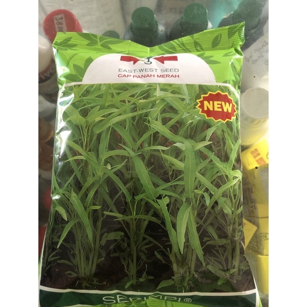 Benih Kangkung Serimpi