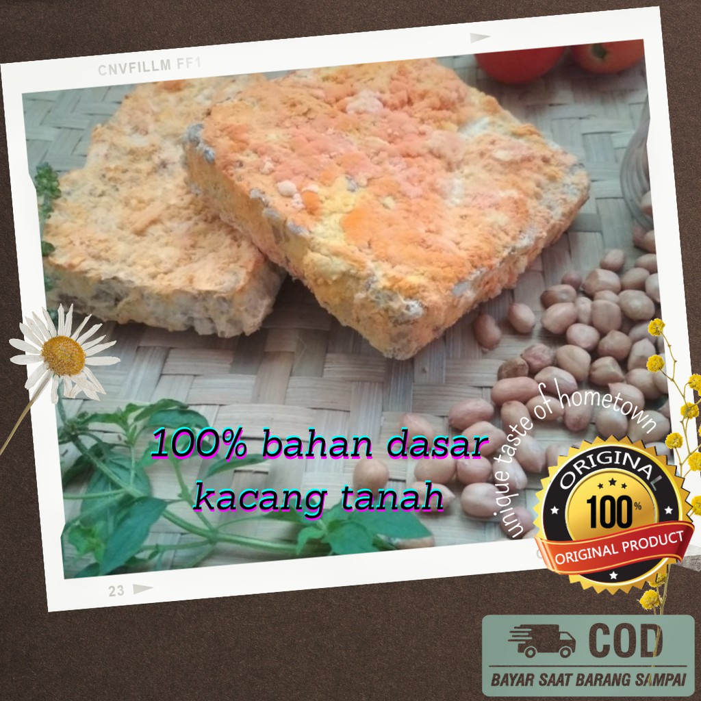 

ONCOM MENTAH ASLI BANDUNG SUMEDANG BAHAN SAMBAL COMRO