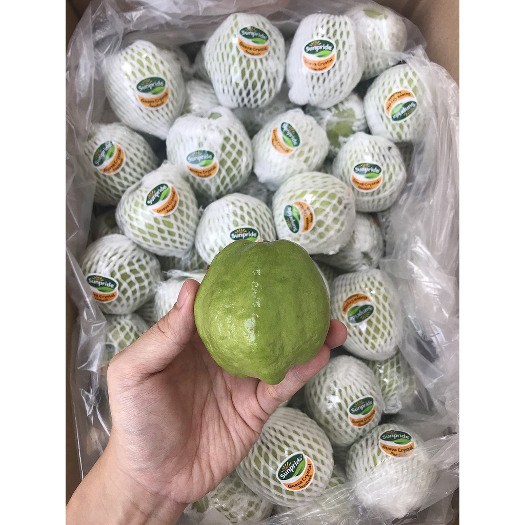 

JAMBU KRISTAL CRYSTAL SEEDLESS 1KG [HARVEST LINE]