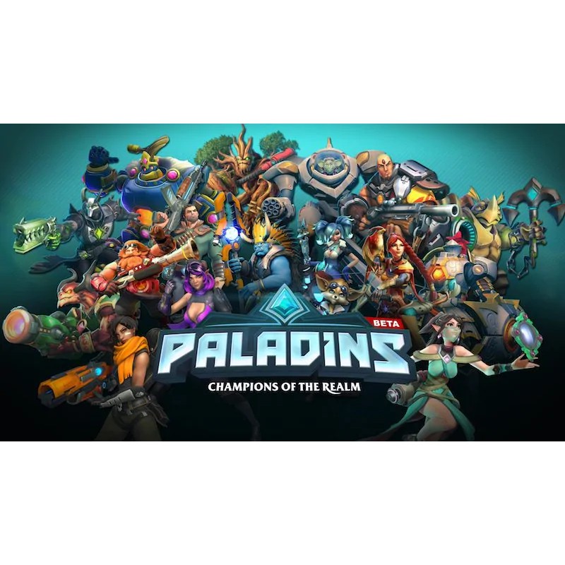 PC - Paladins game and Steam Backup