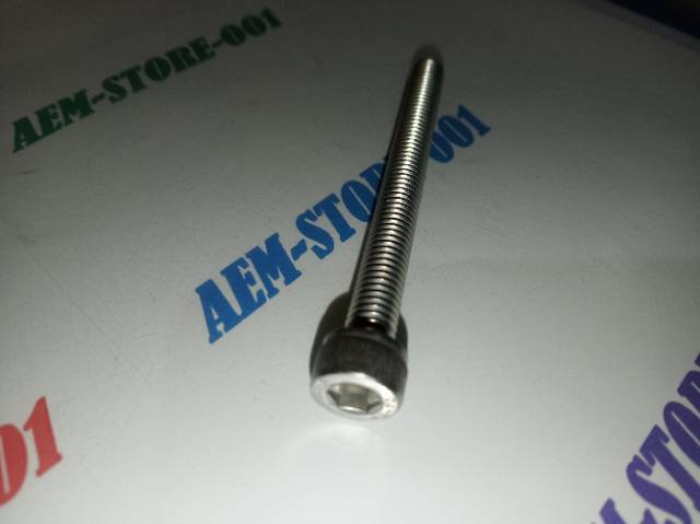 Baut L M6 X 55 (5.5cm) stainless 304 THE A2-70