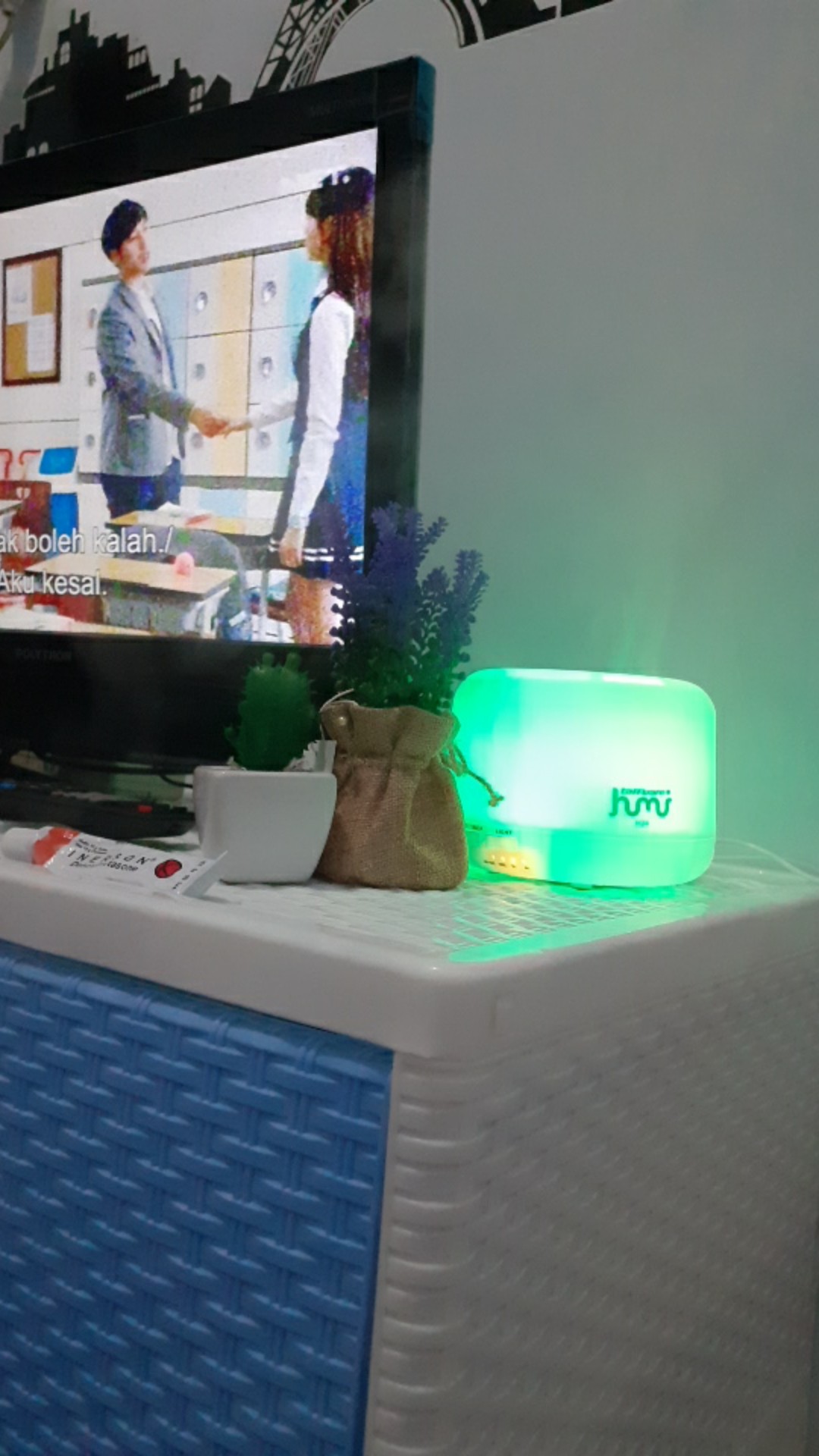 Essential Oil Diffuser Humidifier 10ml