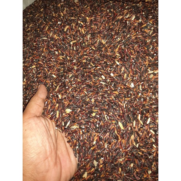 

BERAS HITAM ASLI DARI PETANI PURWOREJO RENDAH GULA 1KG