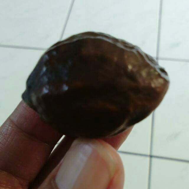 Muncang adu jayanti ORI matang